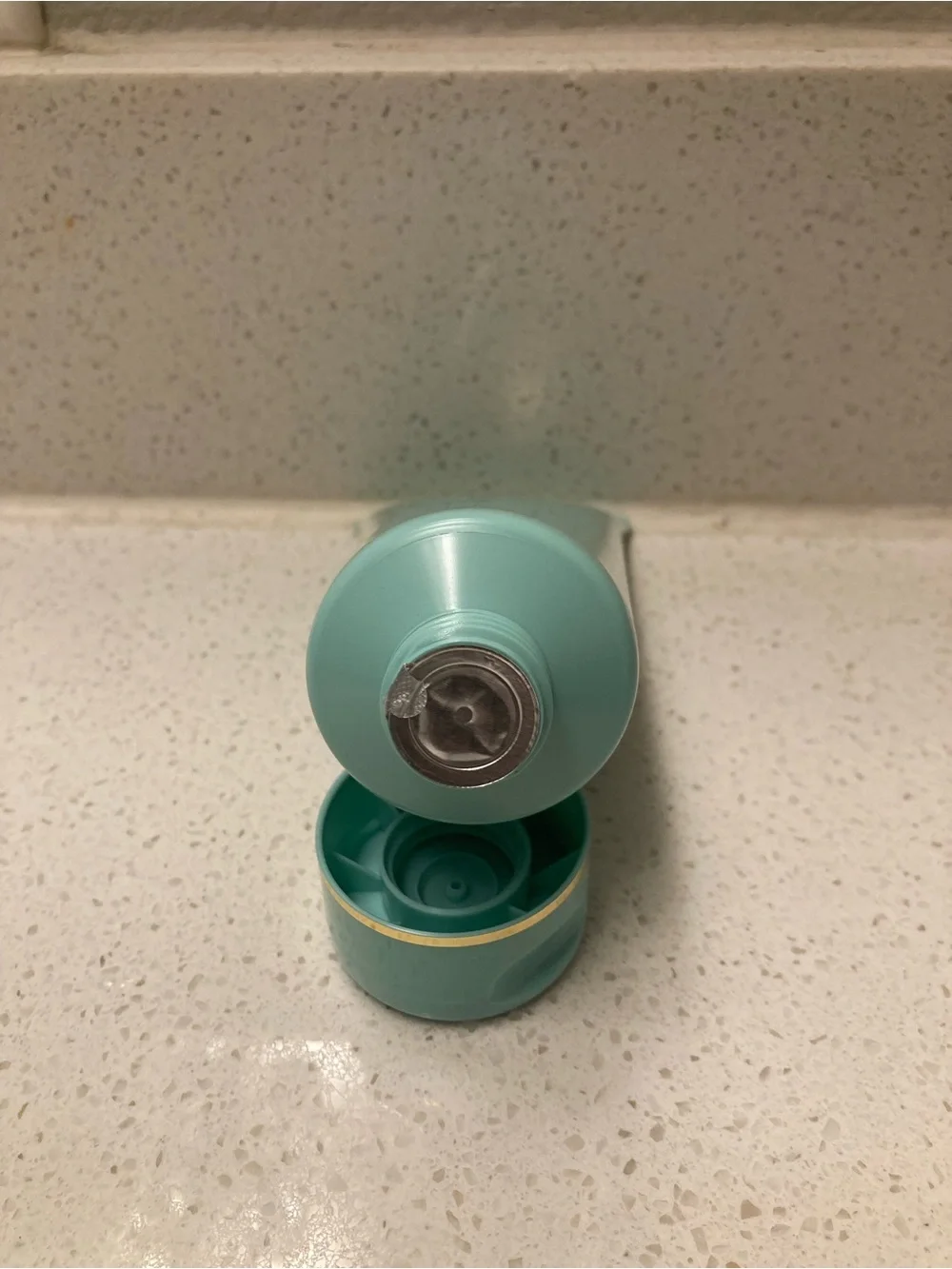 Tatcha The Matcha Foam Cleanser